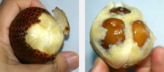 Salak