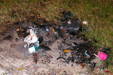 Remains of fire to dispose of unwanted statues