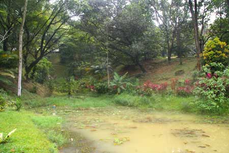Taman Tasik Perdana