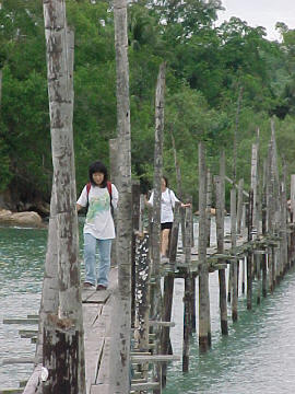 Chek Jawa Wooden Jetty