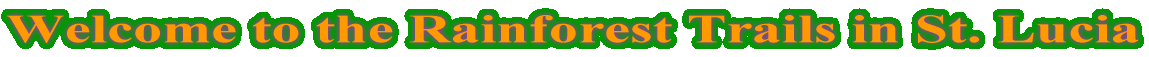 Welcome to Forestry Department Homepage