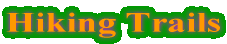 Welcome to Forestry Department Homepage