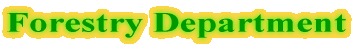 Welcome to Forestry Department Homepage 