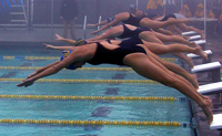 Slugs know how to swim!