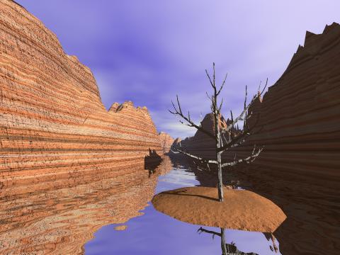 Grand Canyon With Tree