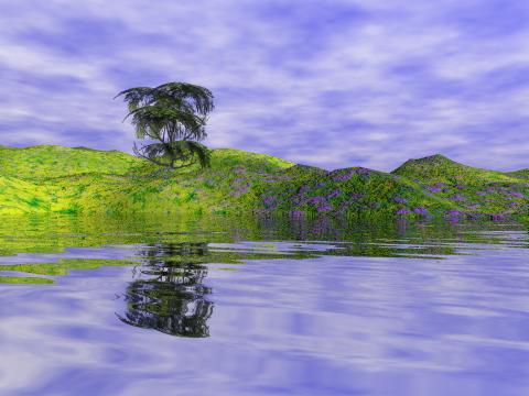 Tree On Land