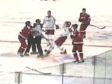 hockey fight!