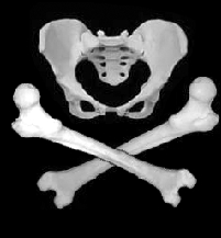 pelvis & crossbones.tif
