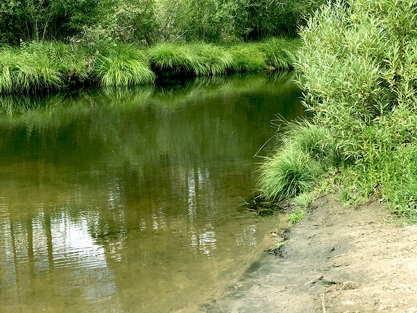 wilderness
