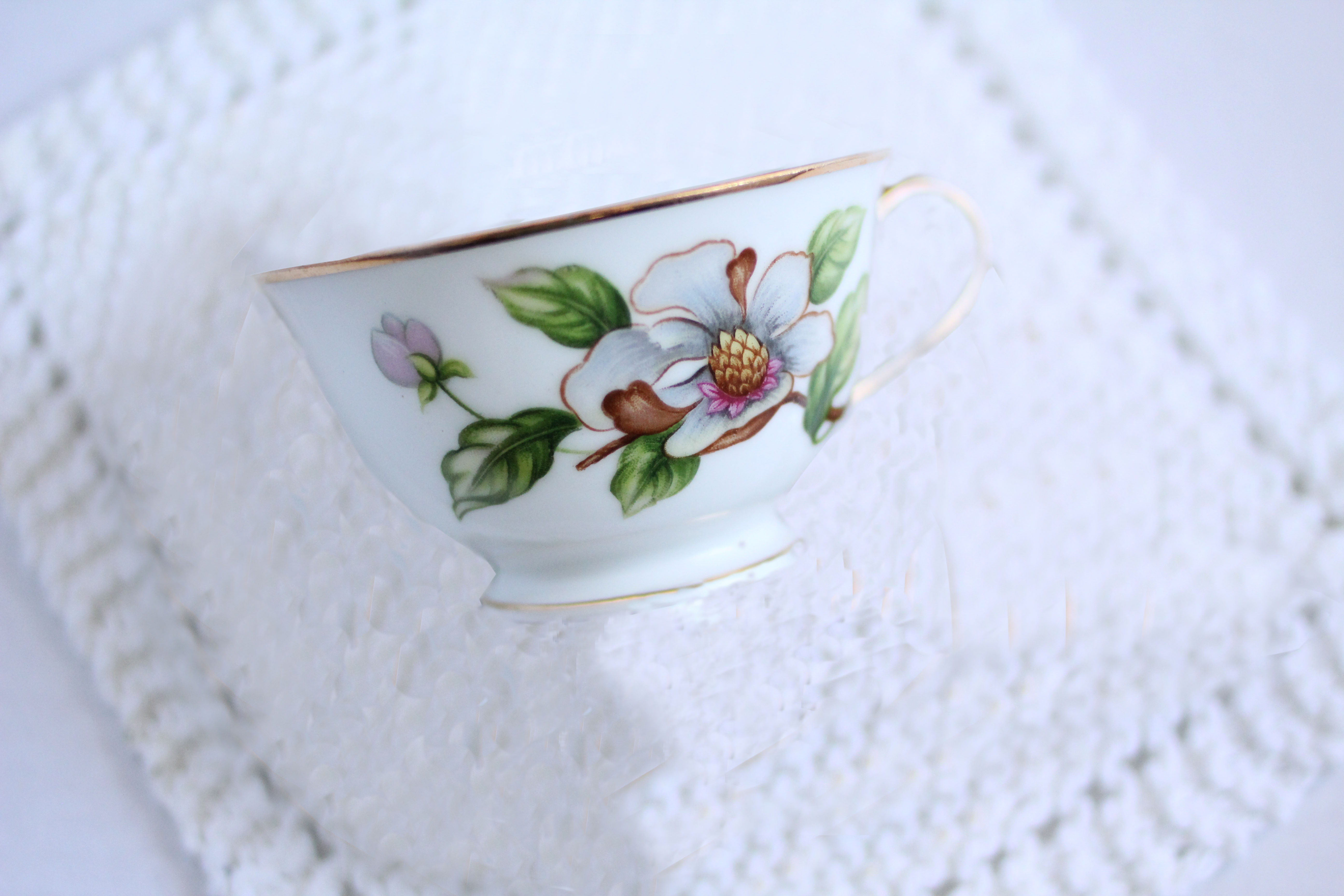 teacup