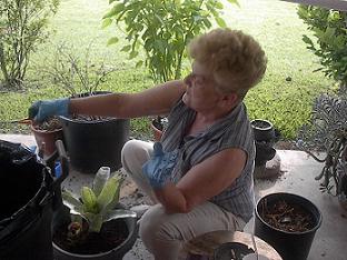 Grandma hard at work