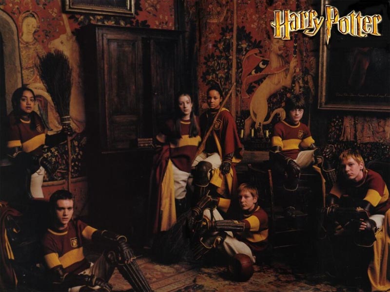 quidditchteam800640.jpg (79011 bytes)