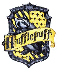 shield_03.jpg (13117 bytes)