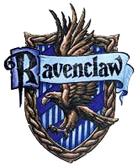 shield_04.jpg (11339 bytes)