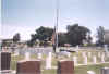 LoneTree8.jpg (48203 bytes)