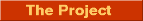 project_button.gif (2170 bytes)