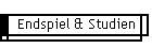 Endspiel & Studien