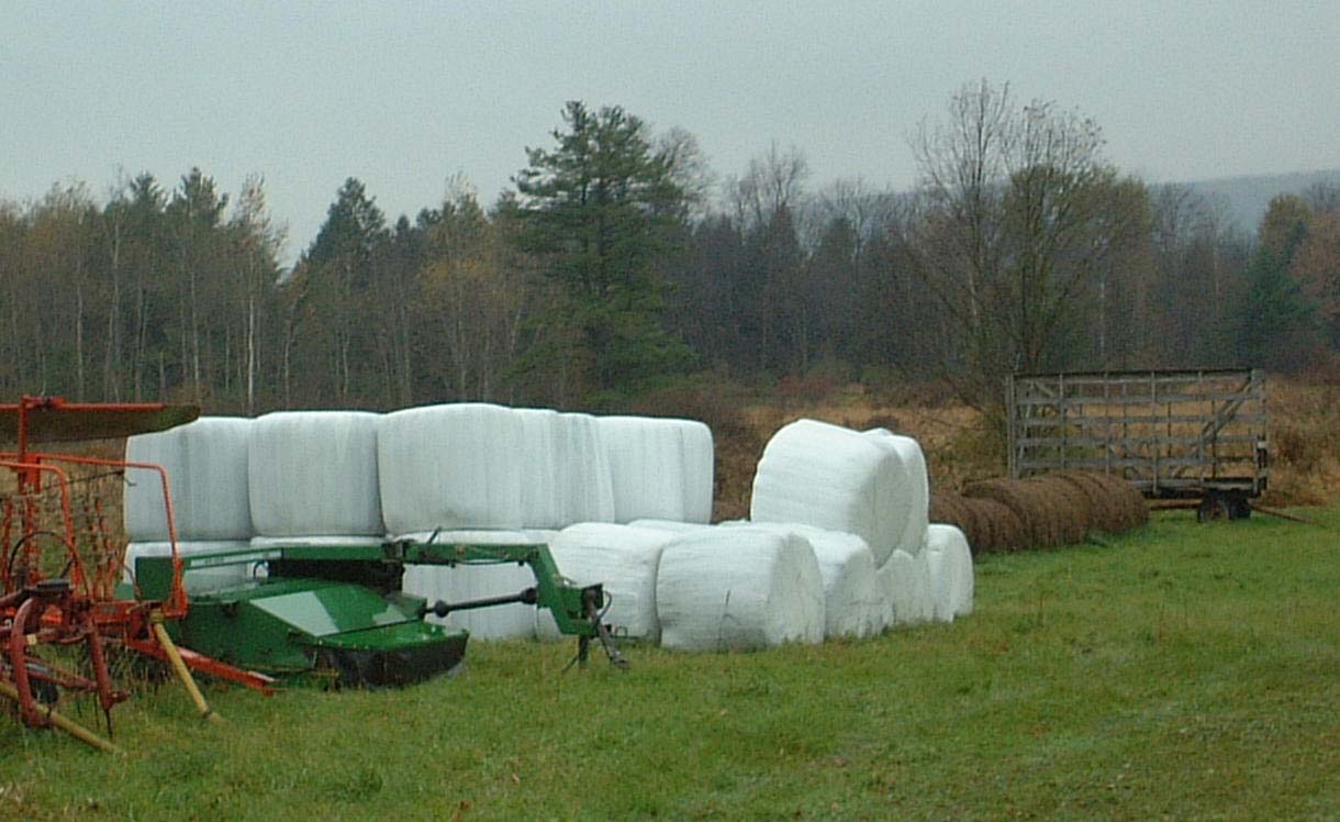 Holy crap!  Look at the size of those marshmallows!