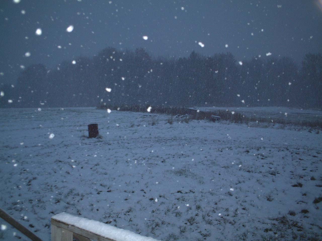early November snow