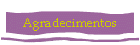 Agradecimentos