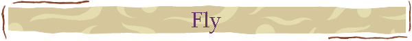 Fly