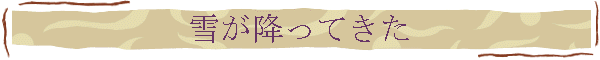 雪が降ってきた