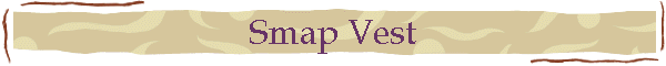 Smap Vest