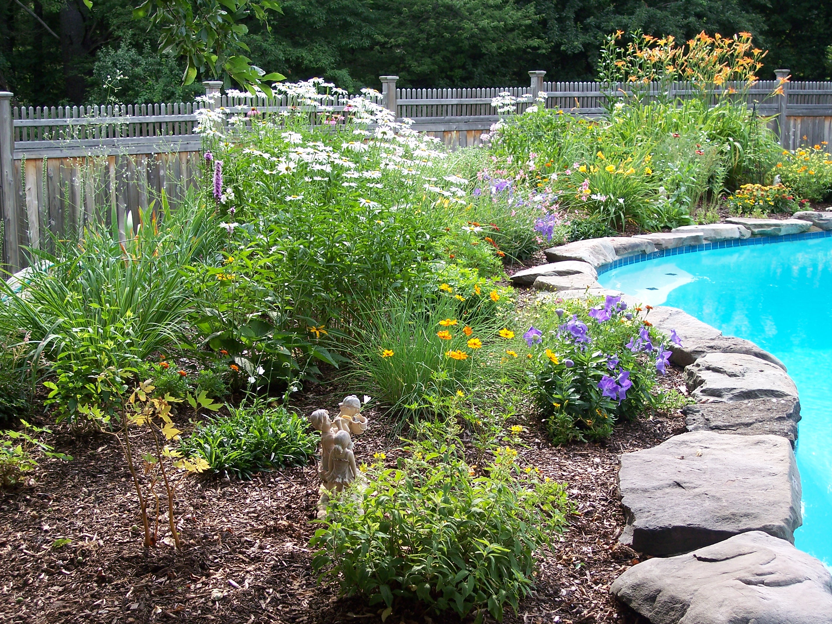 My backyard garden