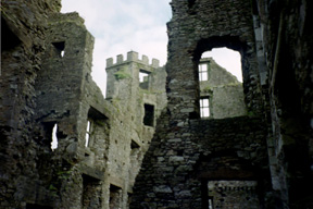 Inside the Castle