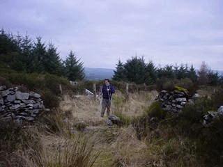 Mallow Grounds