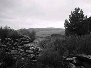 View From Mallow