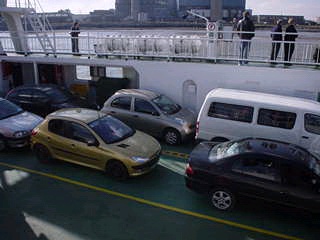 Sardines
