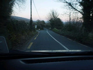 Sheep in the Road
