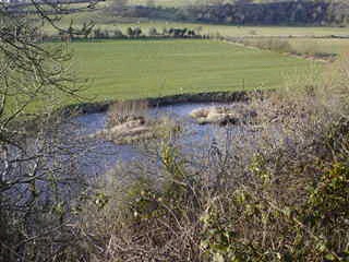 River beside the visitor centre