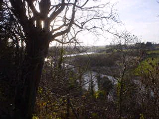 Another river shot