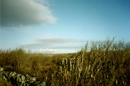 The Burren