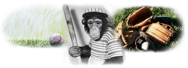 S.M.A.C Softball