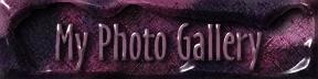 To My Photo Gallery