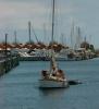 Hillarys harbour, WA Australia