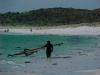 WA Windsurfing