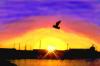 See Gallery 1