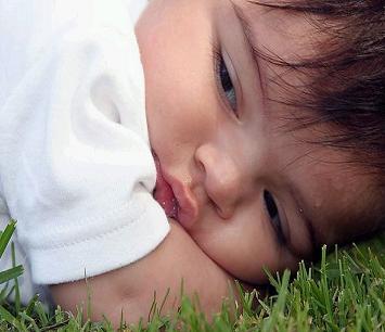 Supreme~Aiden Michael