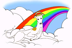 Rainbow Bridge