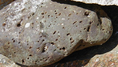 porous rock, this one is now in the rock wall