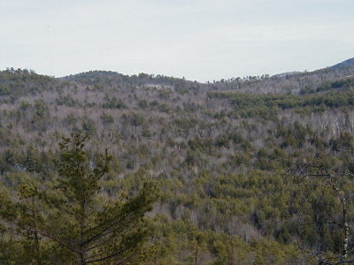 view east from the first hilltop
