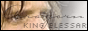 88 x 31