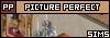 Picture Perfect Sims
