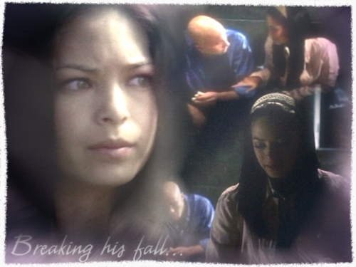 Lexana
