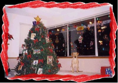 Amber's 2nd XMAS