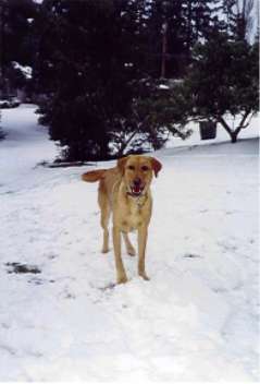 Amber's 3rd XMAS